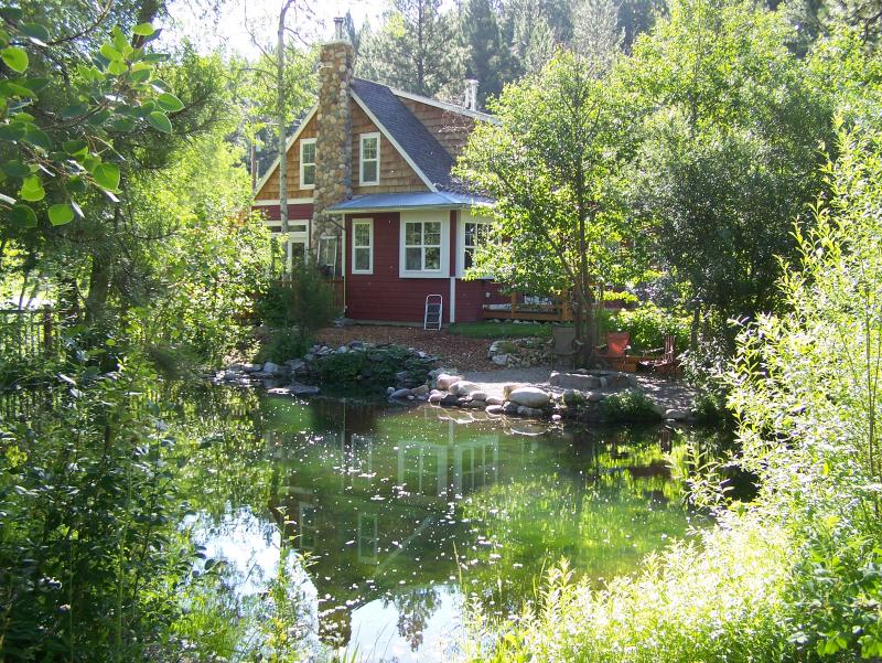 pond view